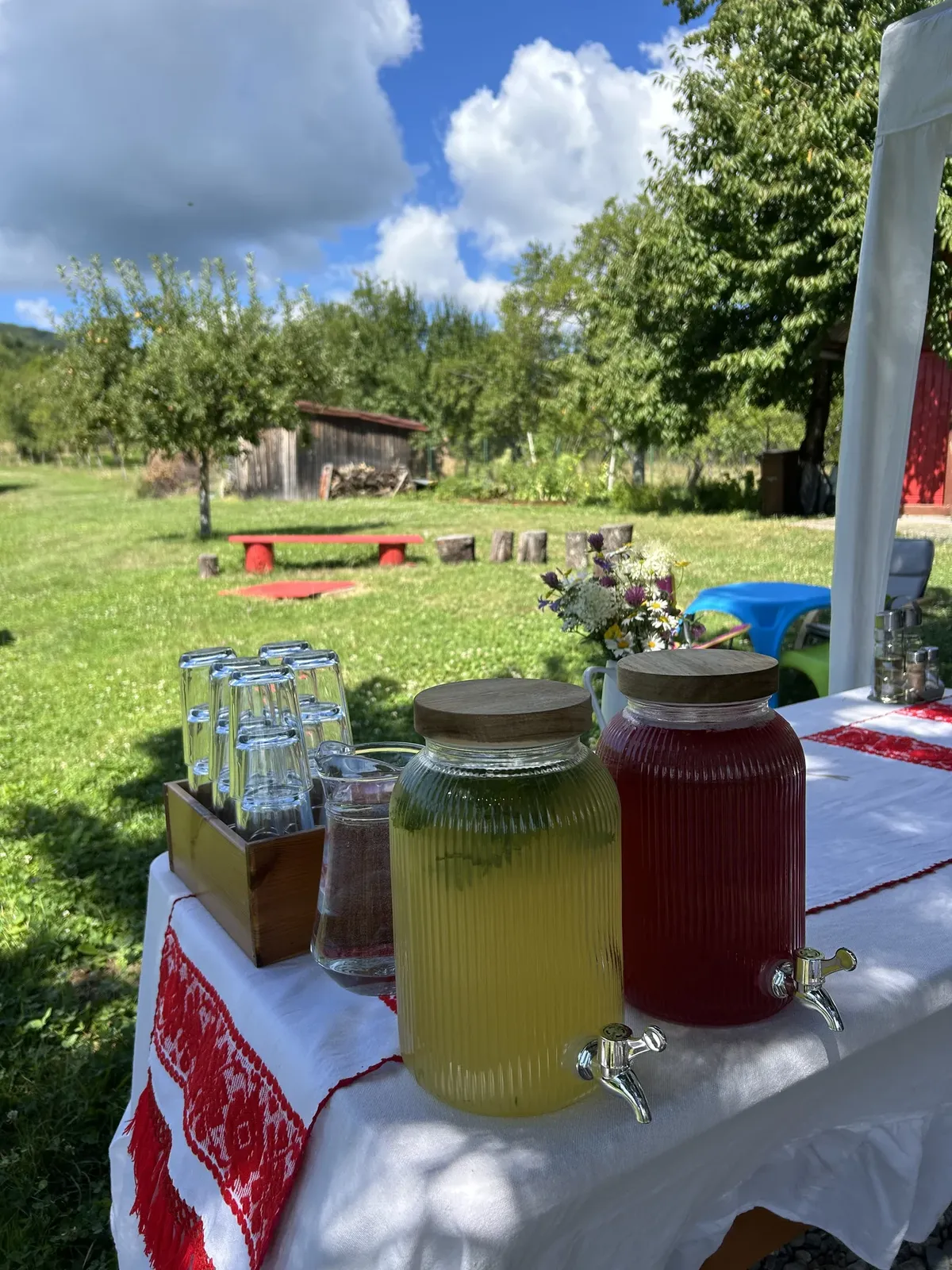 Băuturi de casă așezate pe masa din grădină