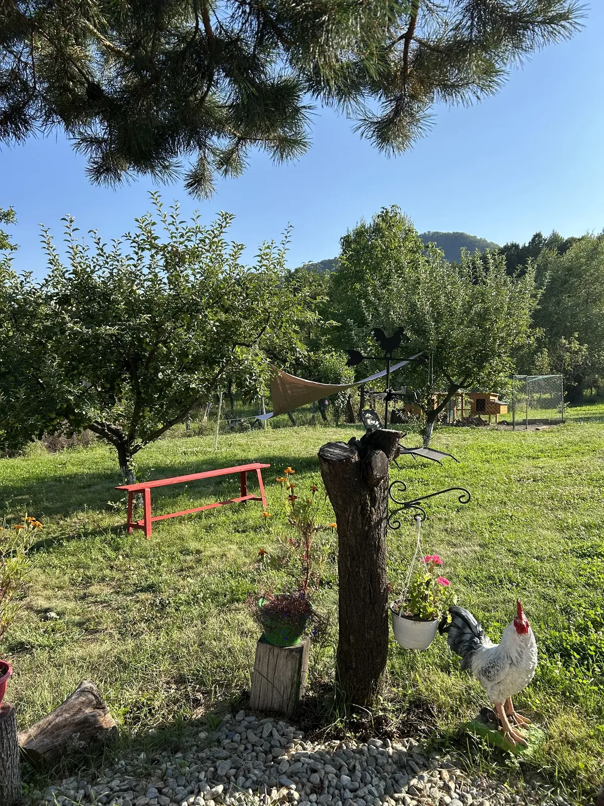 Livada și grădina în care sunt primiți oaspeții